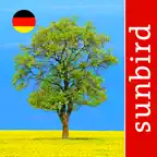 Baum Id Germany icon