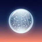 Fuwarium: Snow & Petal Effects iOS Icon