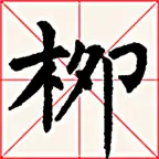 i临帖-柳体楷书 iOS Icon