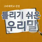 고려대 선정 틀리기 쉬운 우리말 iOS Icon