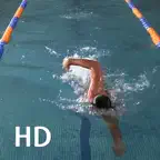 Swim Coach Plus HD iOS Icon