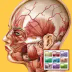 Anatomy Atlas for Mac icon