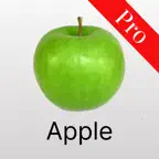 Baby Flashcards: Learn & Play iOS Icon