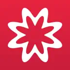 MathStudio Express icon