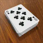 Crazy Eights - The Card Game iOS Icon