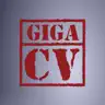 Your best resume with giga-cv