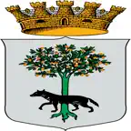 Tutto Lecce iOS Icon