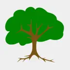 Pro Football Coaching Tree iOS Icon