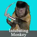 Intubating Monkey iOS Icon