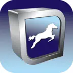 Equine Techniques iOS Icon