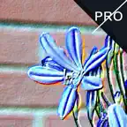 Emboss Me Pro Icon