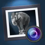 Dramatic Black & White iOS Icon