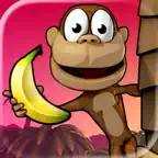 Monkey Bongo iOS Icon