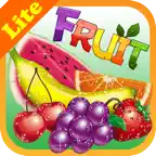 Fruits Memory Game lite Icon