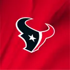 Houston Texans Icon