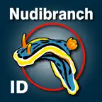 Nudibranch ID Eastern Pacific iOS Icon