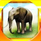 REAL ANIMALS HD (Full) iOS Icon