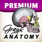 Grays Anatomy Premium for iPad iOS Icon