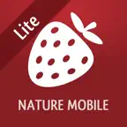 Wild Berries and Herbs LITE iOS Icon