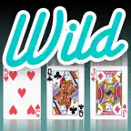 Reel Wild Poker 88 iOS Icon