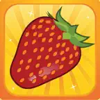 Muslim Kids Series : Mufradat iOS Icon