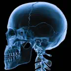Handy Anatomy iOS Icon