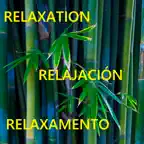 Relaxation Techniques - Calm your mind iOS Icon