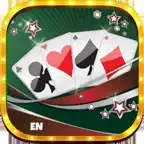 Buraco Pro HD iOS Icon
