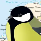 Birds of the Netherlands iOS Icon