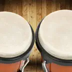 Bongos! iOS Icon