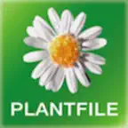 iPlantFile Pro icon