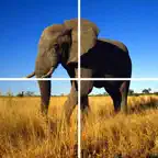 Animal Puzzle (Worldwide) Icon