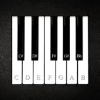Virtual Piano + iOS Icon
