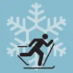 Wax Thermometer iOS Icon