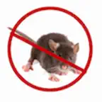 Rat And Mouse Sound Repeller icon