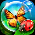Bugs and Bubbles iOS Icon