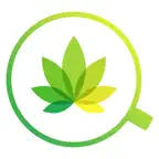Verification420 1.1 iOS Icon