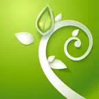 SPA Music for Relaxation and Massage Therapy iOS Icon