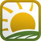 每日以马内利 Everyday Emmanuel Icon