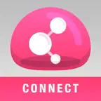 Check Point Capsule Connect iOS Icon
