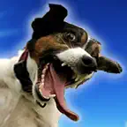 Prank My Pet iOS Icon