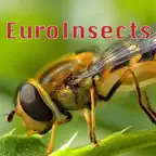 EuroInsects iOS Icon