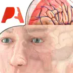 Pocket Brain iOS Icon