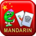 Mandarin Flash Cards iOS Icon