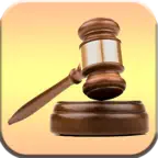 You Be The Judge Icon