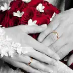 Marriage Dos and Don'ts Full Version Icon