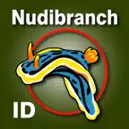Nudibranch ID Australia NZ icon