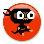 Monkey Ninja iOS Icon