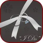 Wedding Planner Professional iOS Icon