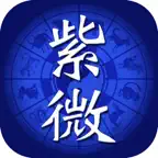 紫微四化飛星 iOS Icon
